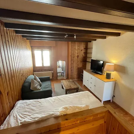 Studio Le Central 1800 Appartement